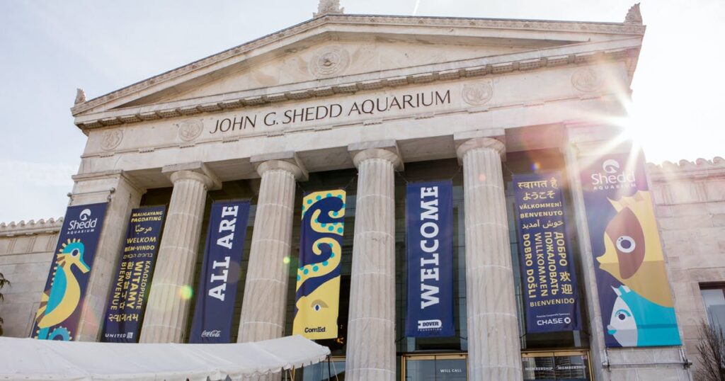 Shedd-Aquarium