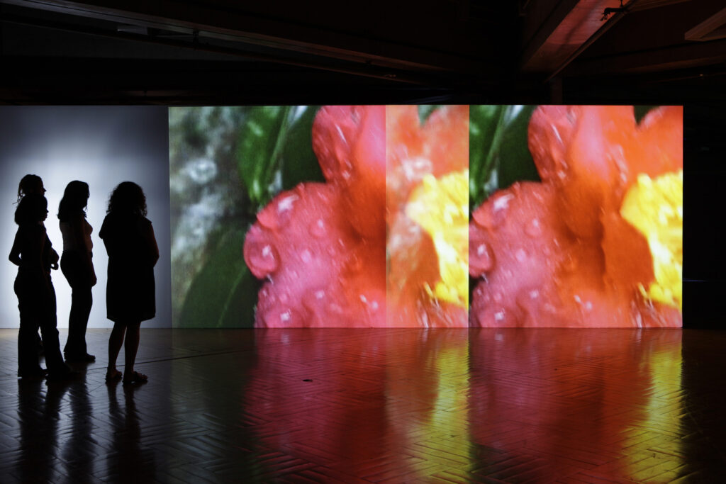 Pipilotti Rist -Supersubjektiv