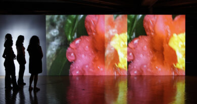 Pipilotti Rist -Supersubjektiv