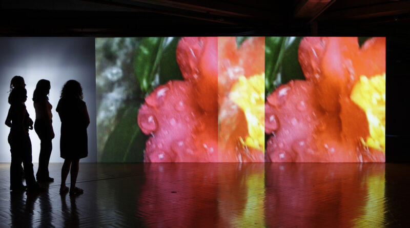 Pipilotti Rist -Supersubjektiv