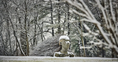 Ona Of The Earth Installation at Morton Arboretum