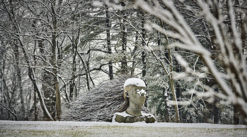 Ona Of The Earth Installation at Morton Arboretum